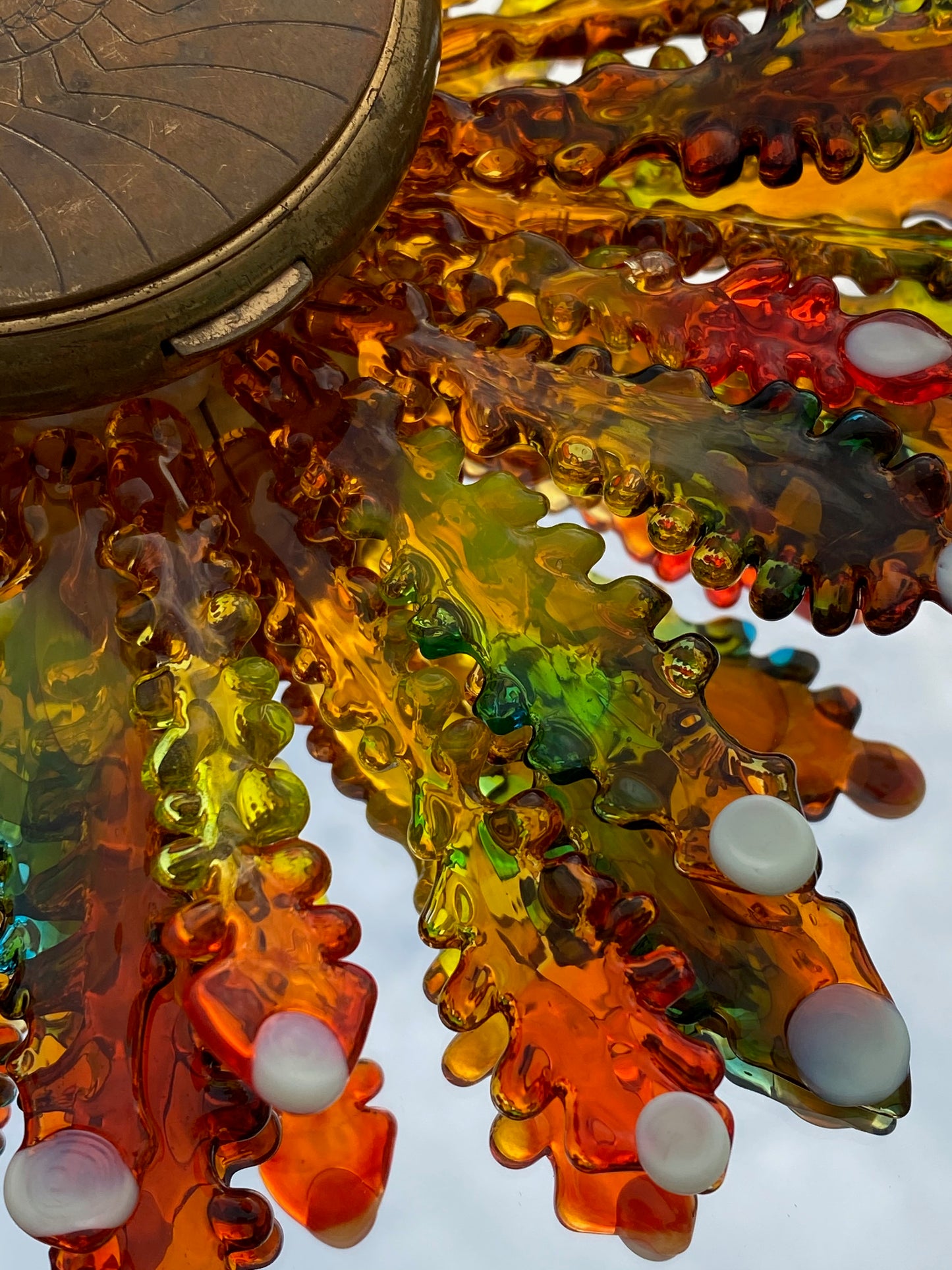 The Human Microbiome #8
