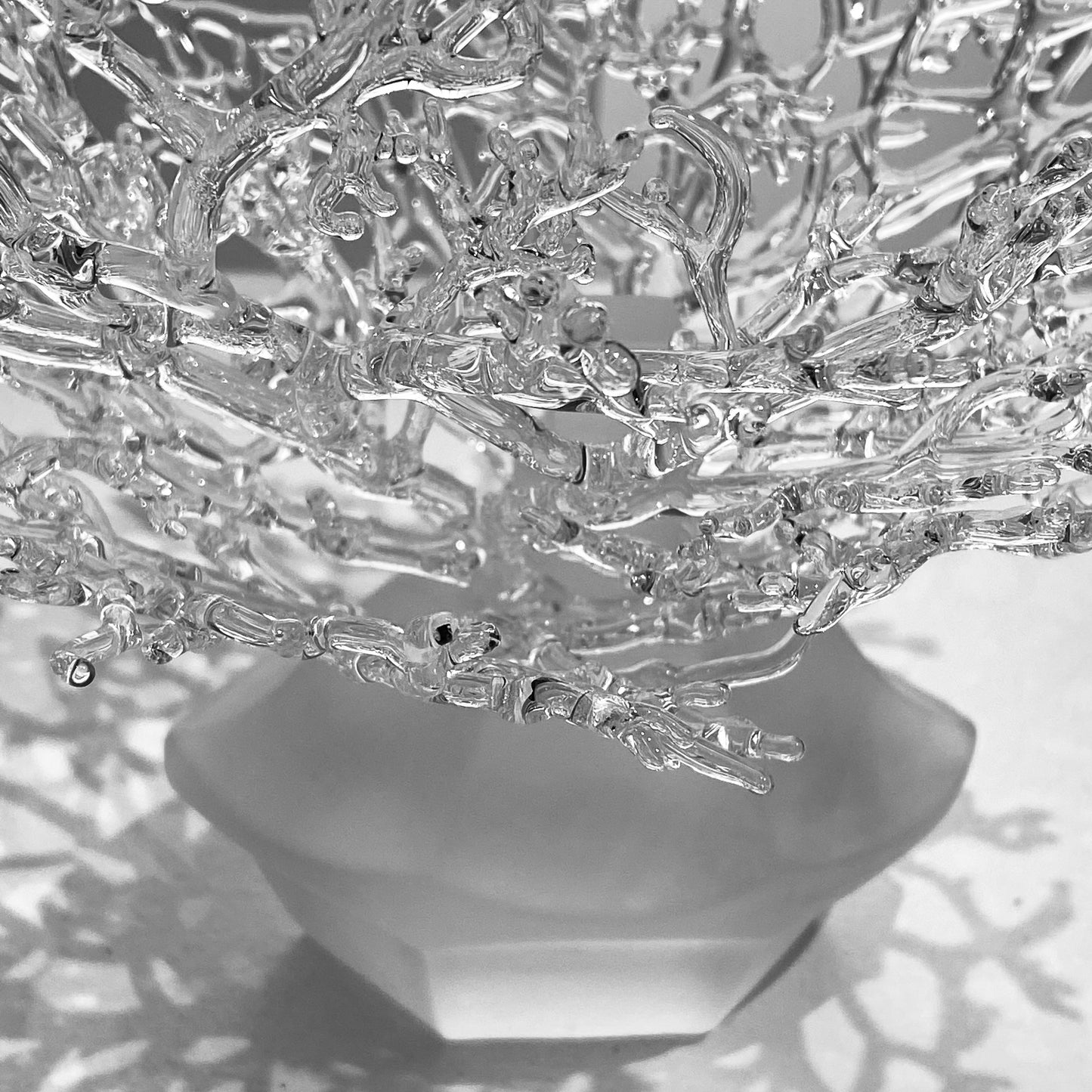 Organic Synthesis #1: Lichen