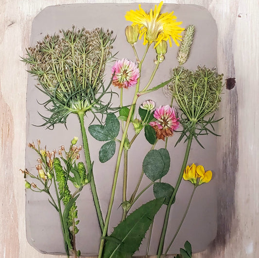 Glass Casting Botanical Relief - 2 week session