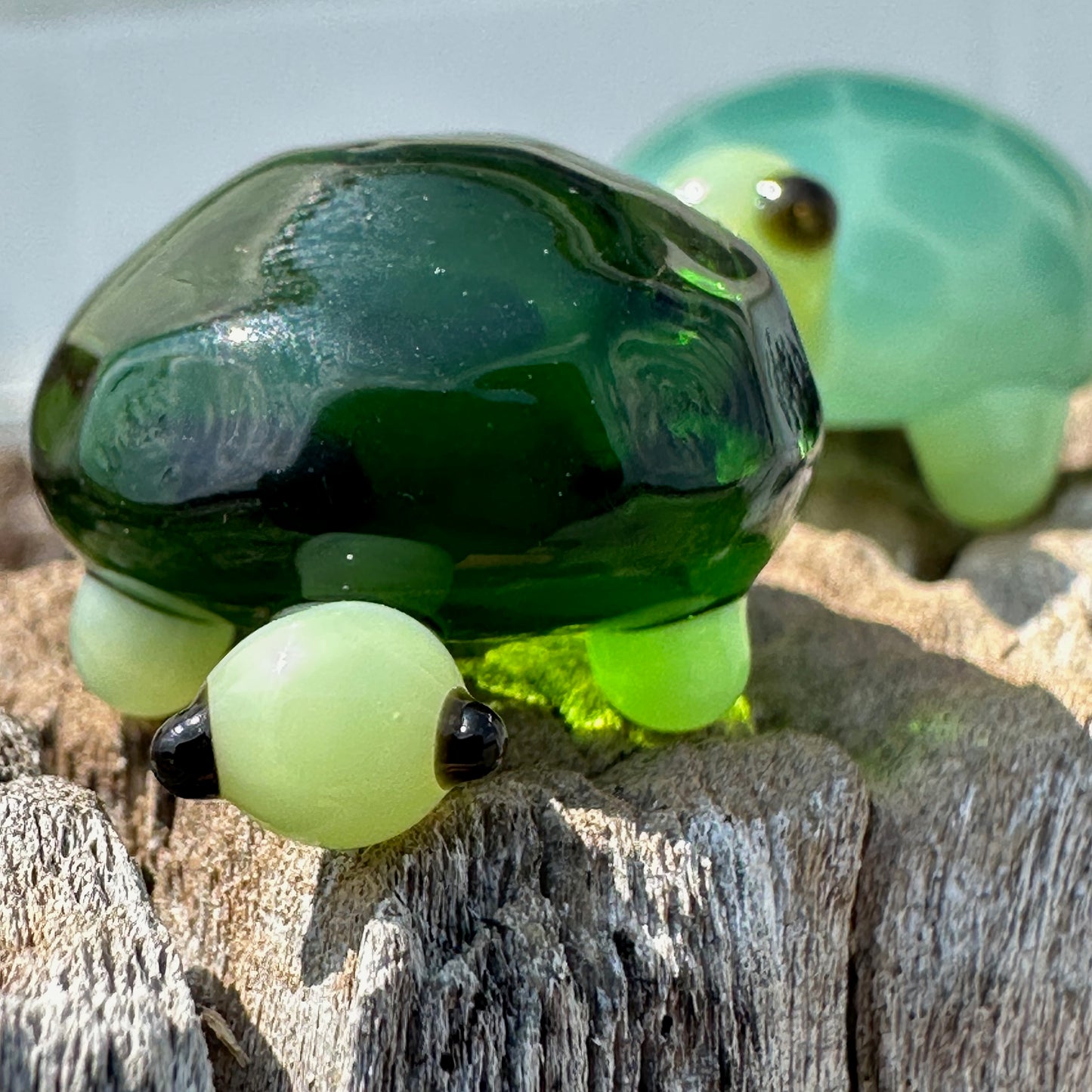 Mini Turtles (borosilicate) - 3hr class