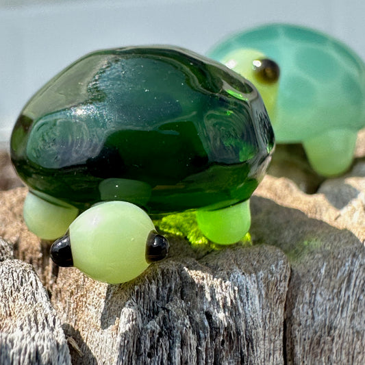 Mini Turtles (borosilicate) - 3hr class