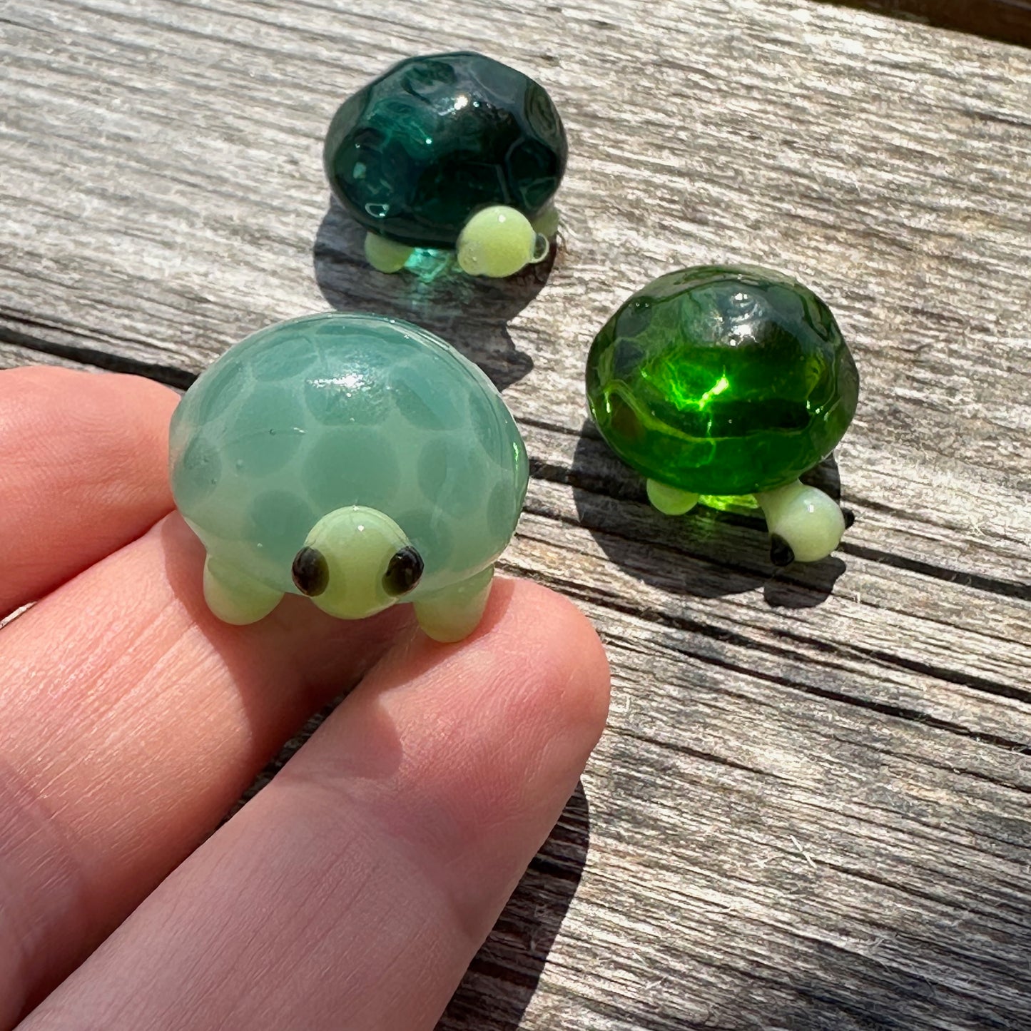 Mini Turtles (borosilicate) - 3hr class
