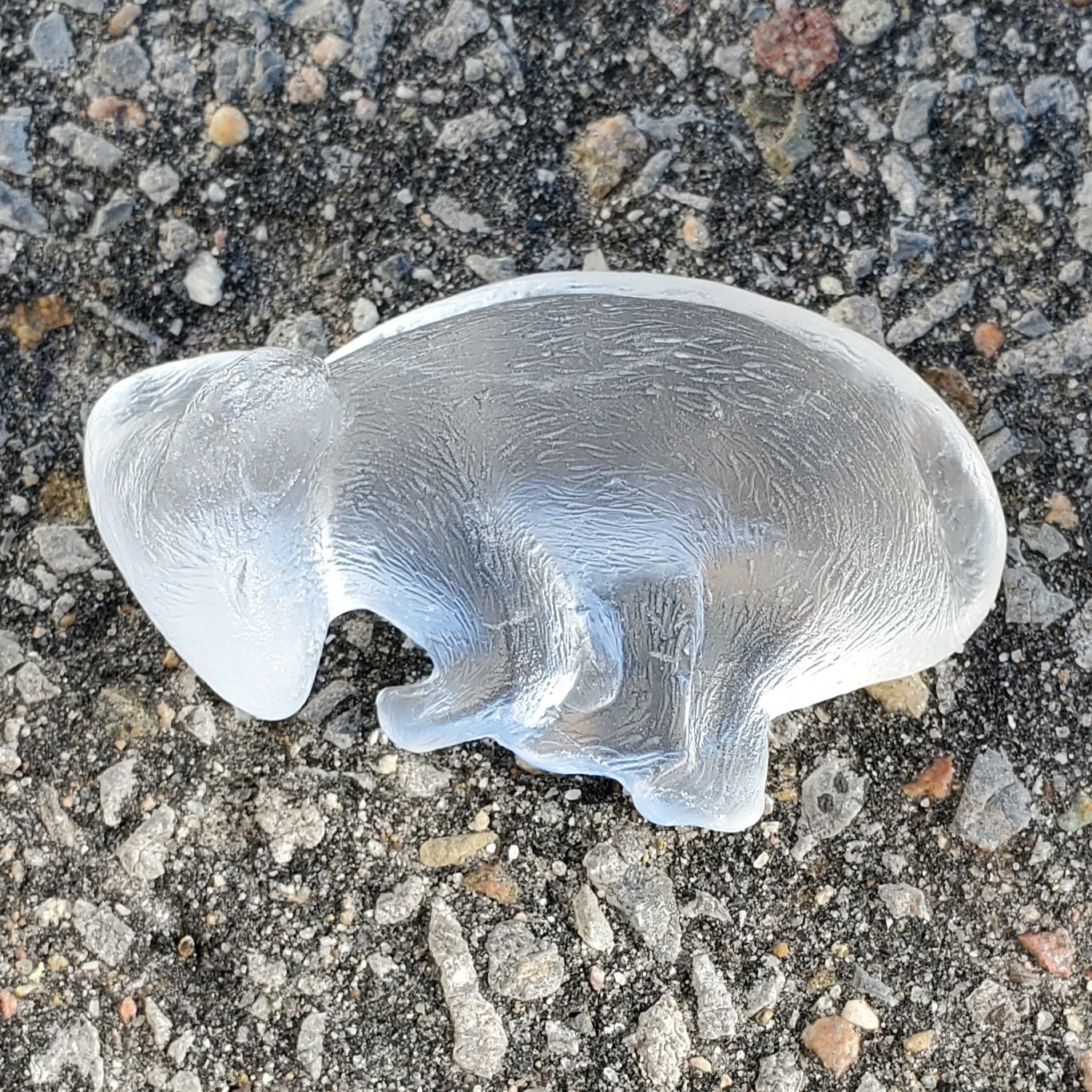 Mice