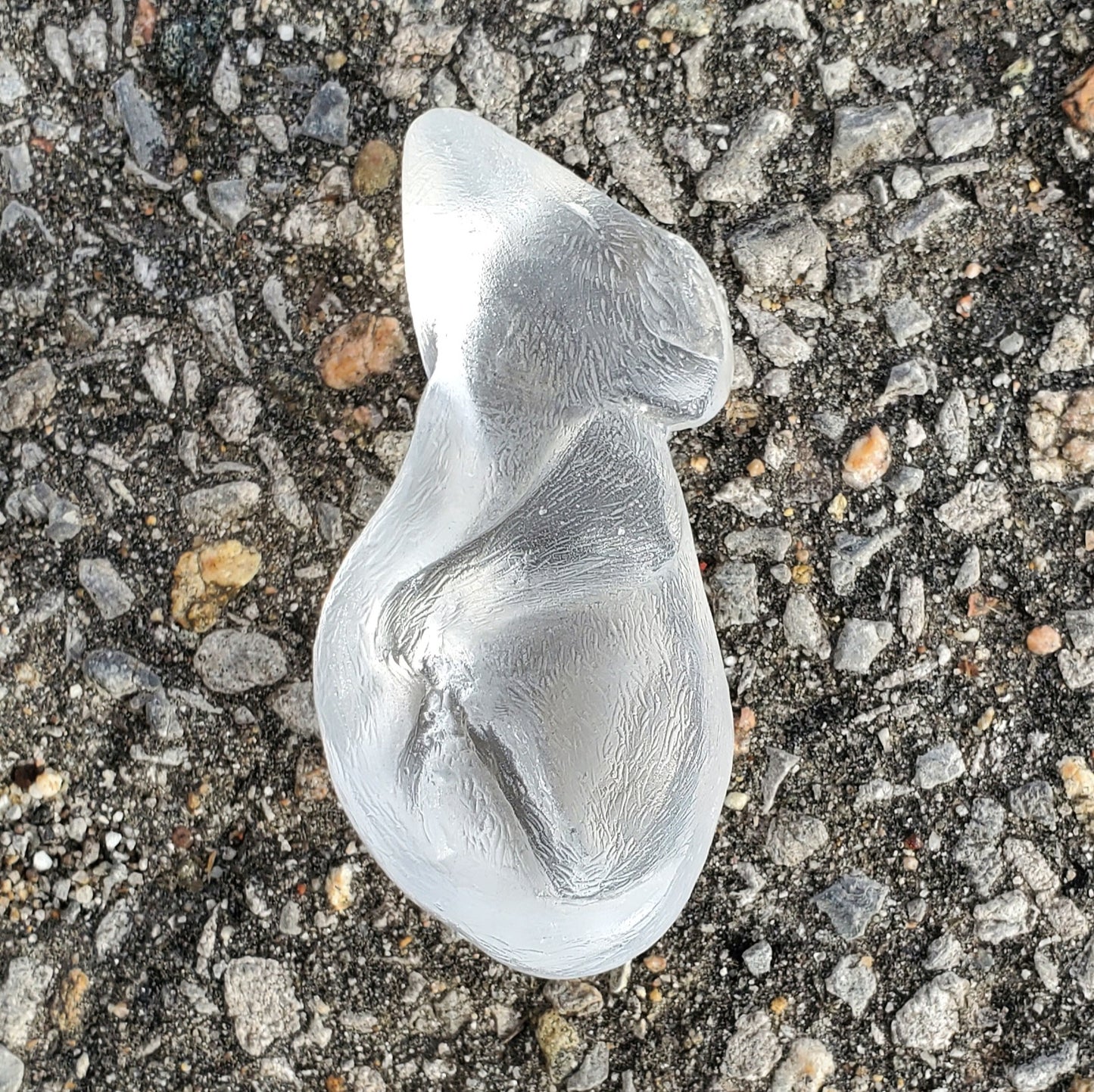 Mice